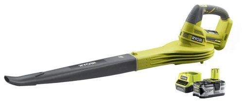 Souffleur 18V ONE+™ (1 x 4,0 Ah)